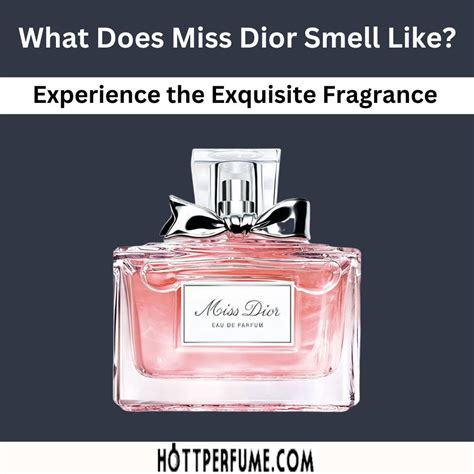 difference between miss dior perfumes|what does miss dior perfume smell like.